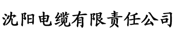 琪棋午夜飘花电缆厂logo